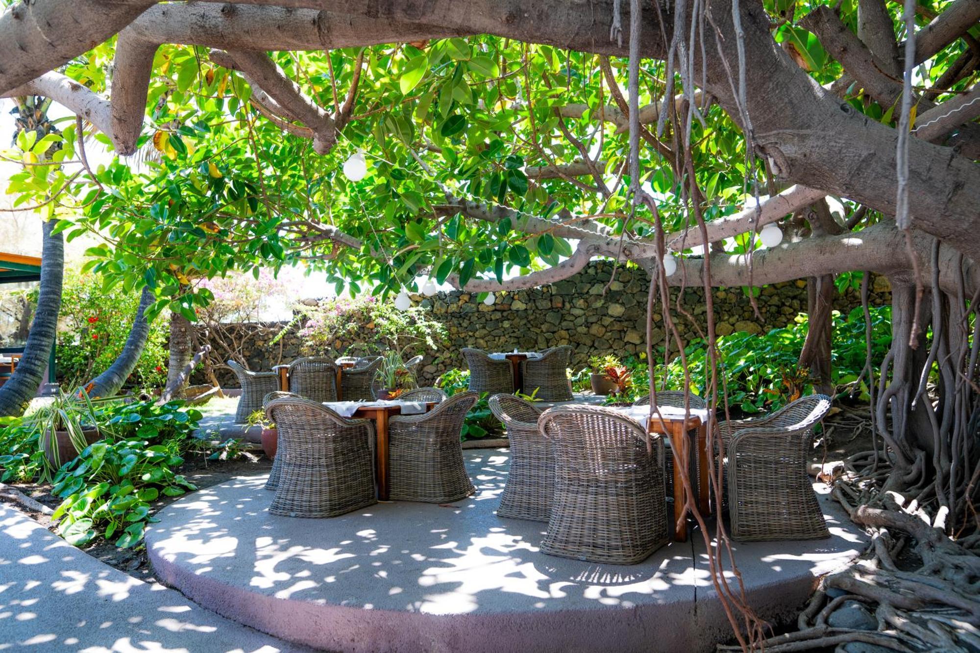Hacienda San Jorge Hotel Brena Baja Exterior photo