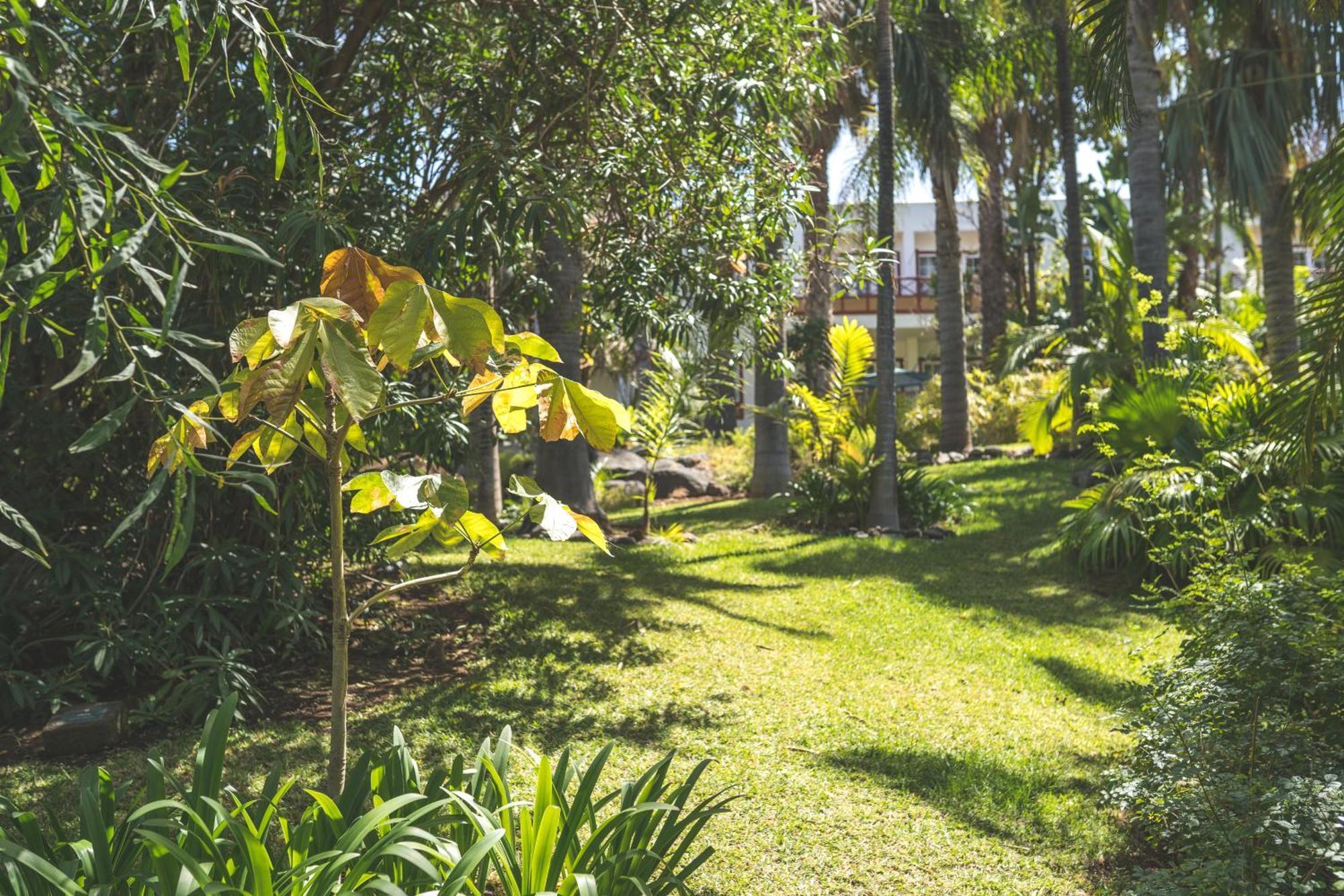 Hacienda San Jorge Hotel Brena Baja Exterior photo