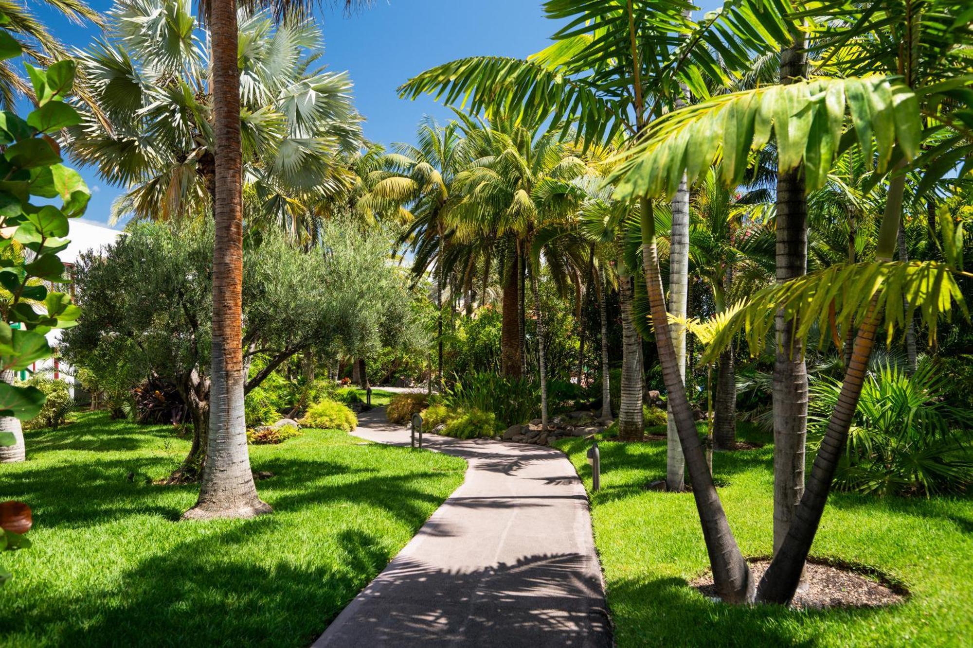 Hacienda San Jorge Hotel Brena Baja Exterior photo