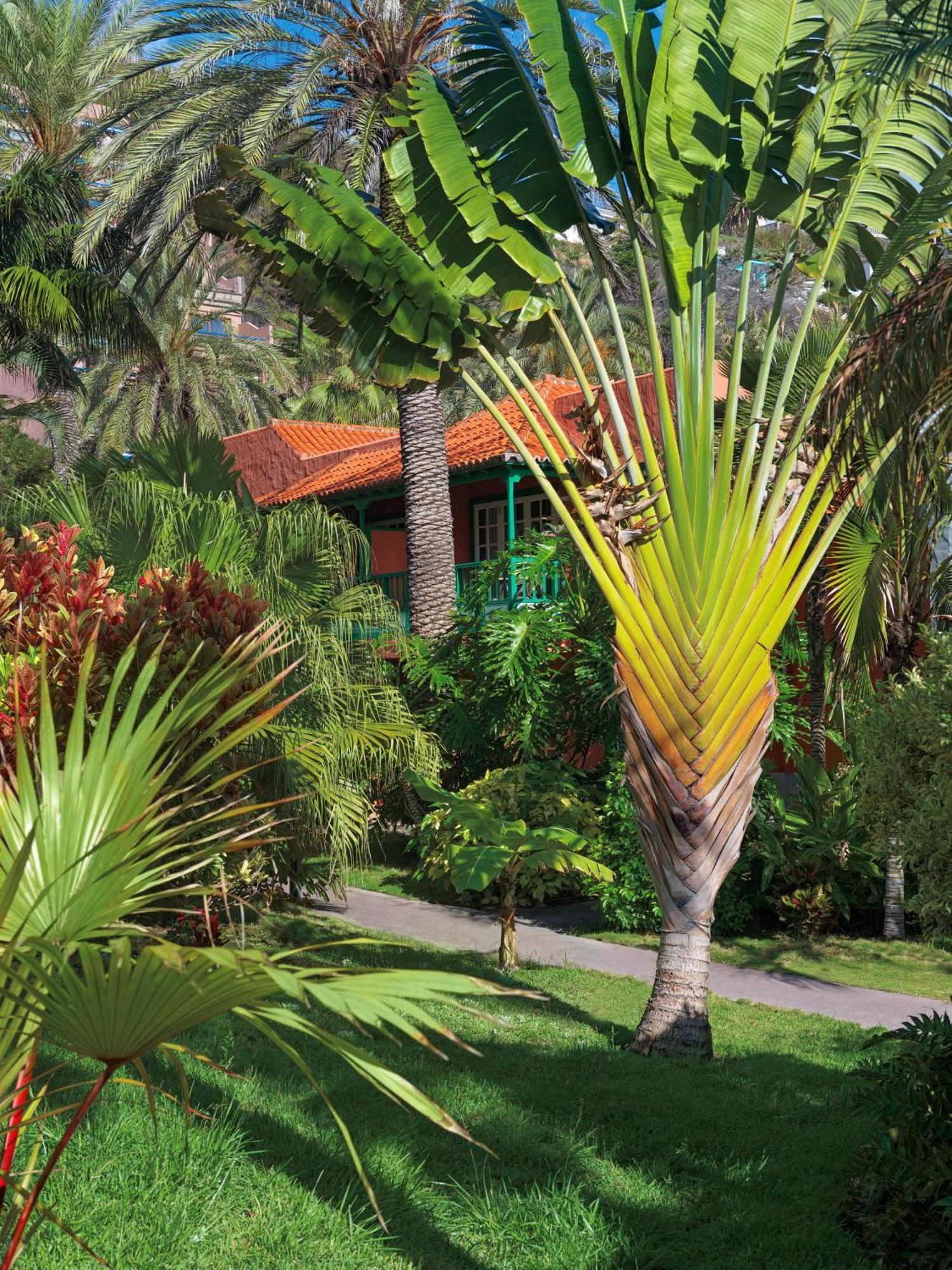 Hacienda San Jorge Hotel Brena Baja Exterior photo
